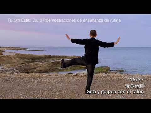 Tai Chi Estilo Wu 37 Rutina / 吴式太极拳37式教学演示