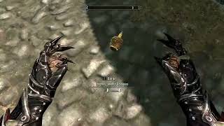 Баг с телекинезом. Skyrim (1 видео) :)