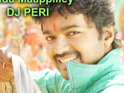 Vaada Maappilley ft DJ PERI Sega Version 2014
