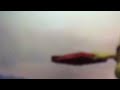 Backyardigans Pizza