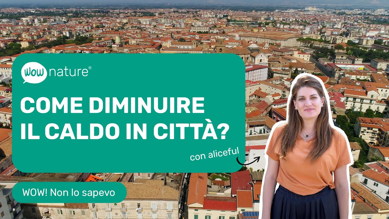 Come diminuire il caldo in città? 🌳 con Aliceful