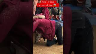 Download lagu Entah apa yang merasukimu #sigitgumelar mp3 Download lagu Entah apa yang merasukimu #sigitgumelar mp3