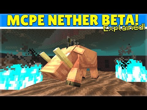 NO Nether BETA for MCPE/Bedrock & This is why...