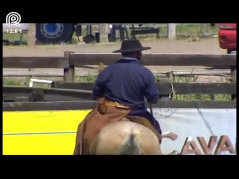 Bocal de Ouro – 3° e 4° lugar fêmeas – Oraca III da Vendramin-Te e La Castellana Honra da Casa