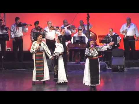 Ans. Muresul - Muresencele (Sibiu "Ioan Macrea" - 2009)