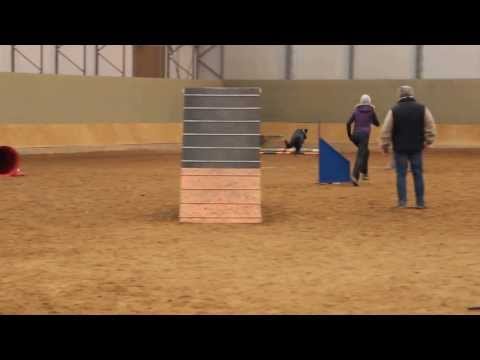 Závody Probluz Agility