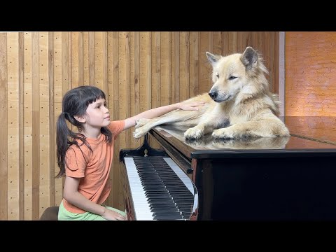 Talented Little Girl Plays Piano for Her Rescue Dog