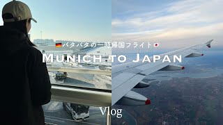 ［一時帰国vlog］1歳児との乗り継ぎ2回フライト｜ハプニング続き