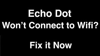 Echo Dot won