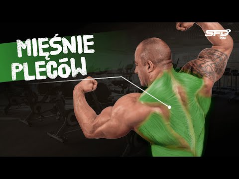 Atlas Ćwiczeń SFD - Mięśnie pleców - SFD