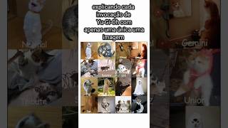 explicando cada invocação de Yu-Gi-Oh com apenas uma única imagem #yugioh #memes #cardgame #gatos