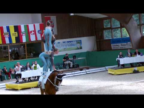 Schäferhof II auf der DJM 2015 in Krumke