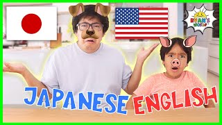 Animal Sounds In English vs Japanese with Ryan and Daddy