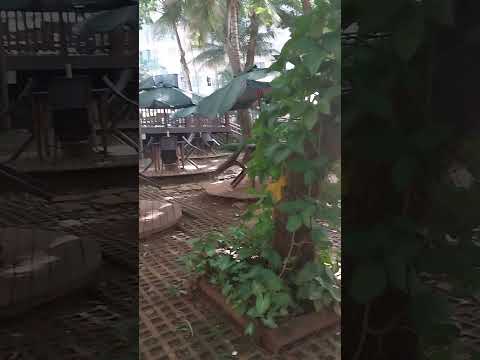 Rio quente Goiás só maravilhosa