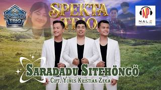 Download lagu SPEKTA TRIO//SARADADU SITEHÕNGÕ// VIDEO mp3