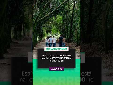 Espírito Santo do Pinhal está na rota de ENOTURISMO no interior de SP