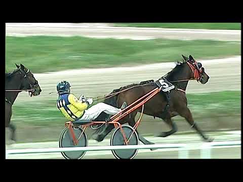 Trotto 27/12/2020 - 6ª corsa