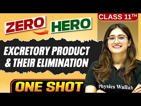 Excretory Products And Their Elimination | Full Chapter in ONE SHOT | Chapter 16 | Class 11 Biology
