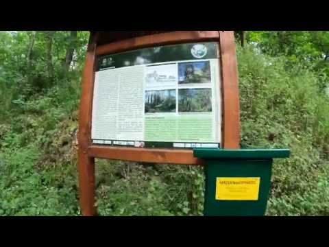 Stempelstelle Heinrichsburg - Burgen und Schlösser - Harzer Wandernadel
