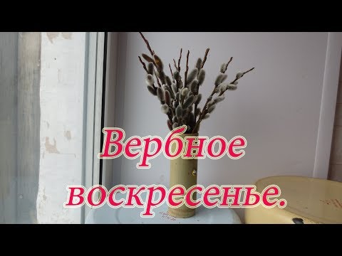 ВЕСНА, ПРИРОДА ПРОСЫПАЕТСЯ, НАЧАЛИ ЦВЕСТИ ПЕРВЫЕ ПЫЛЬЦЕНОСЫ 🔥🔥🔥