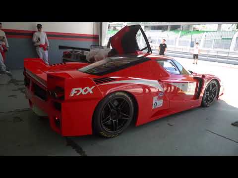 Ferrari FXX Evo going flat out on track!