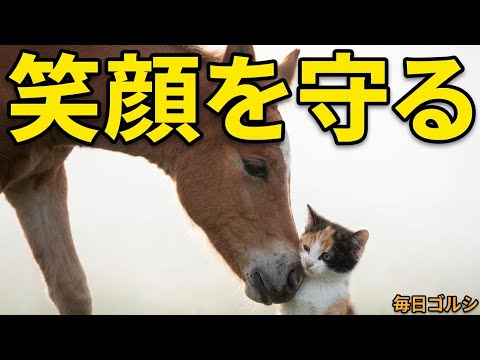 オルフェーヴル」のYahoo!リアルタイム検索 - X（旧Twitter）を