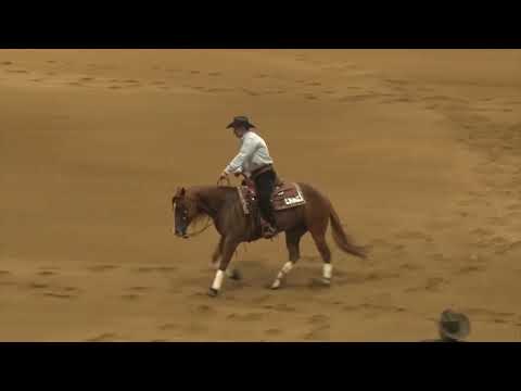 181008 Junior Peter De Freitas on Conquistadortwizzler