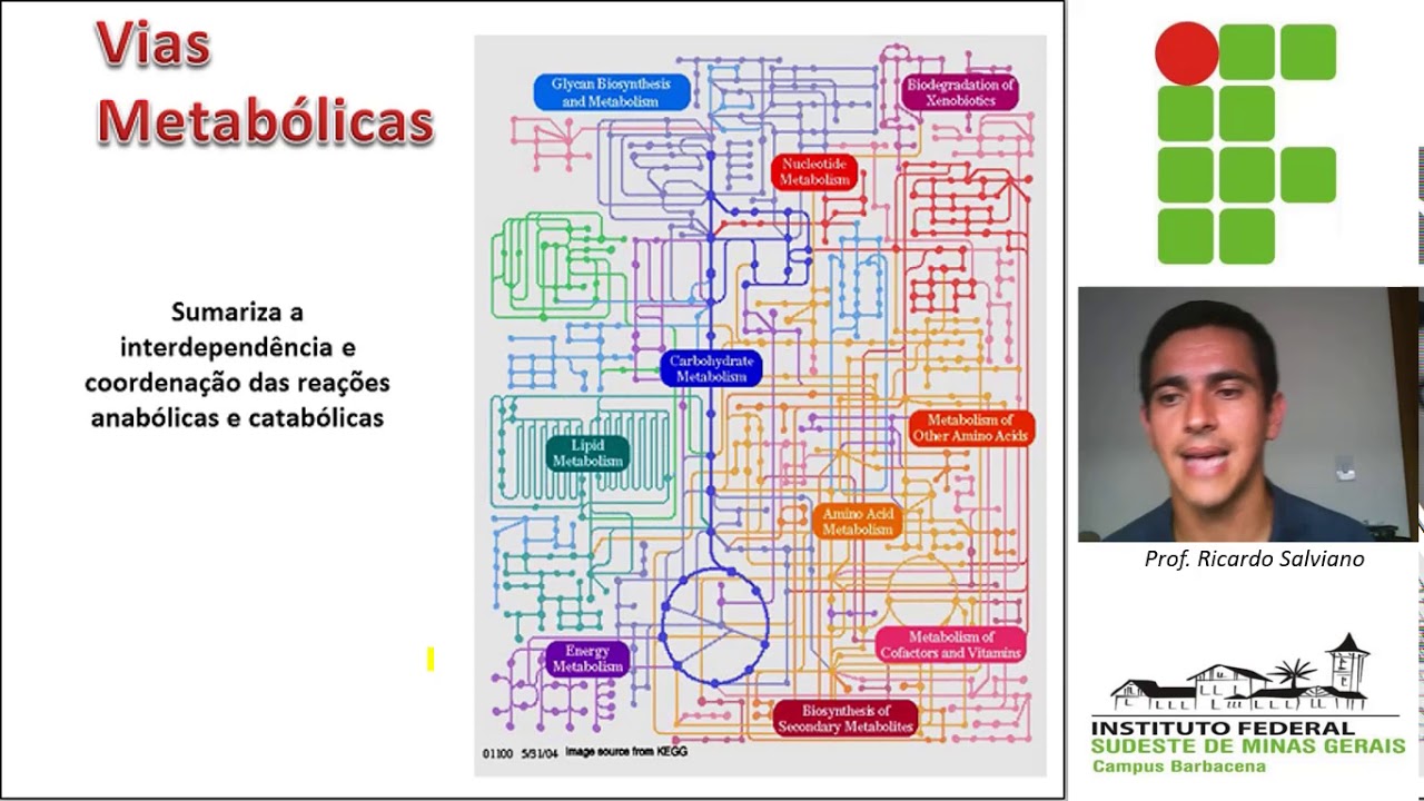 Bioenergética e metabolismo - parte III - metabolismo energético e seus mecanismos de controle