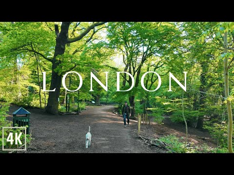 London Morning Walk to Highgate Wood 4K