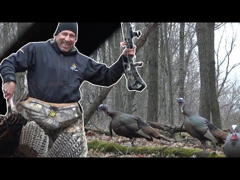 Hunting Under Roosted Gobblers! Wisconsin Turkey Hunting - Bowhunt or Die S10 E11
