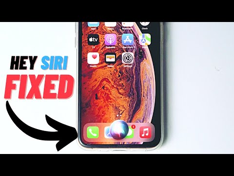 Hey Siri Not Working on iPhone 13, 13 Mini, 13 Pro, 13 Pro Max (2021)