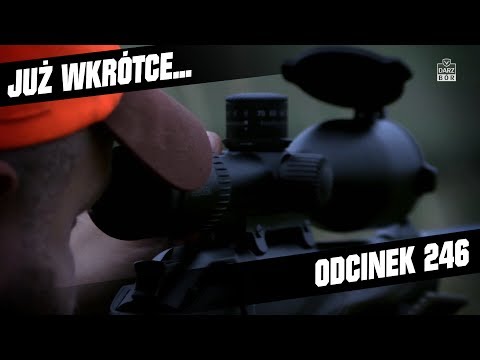 Darz Bór zapowiedź odcinka 246