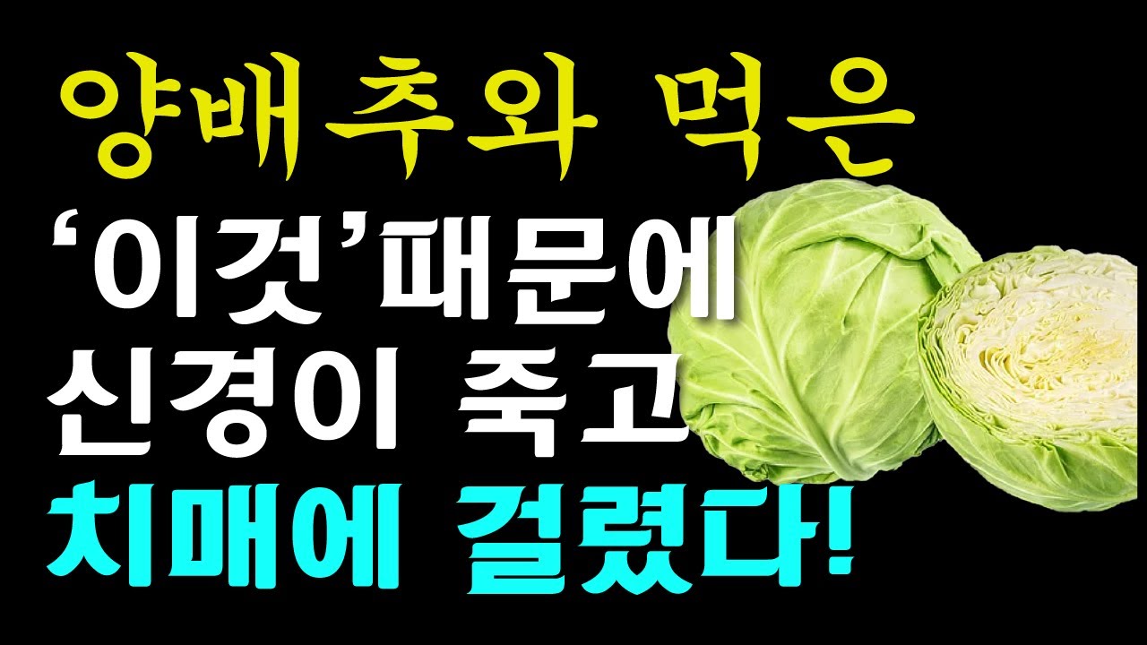 양배추와 절대로 함께 먹지마세요! 암과 치매에 걸릴 수 있습니다! 양배추와 먹으면 최악의 궁합 3가지와 건강지키는 최고의 음식3가지까지 [양배추 효능, 건강 정보]