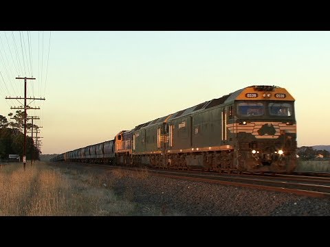 Summer Evenings at Donnybrook: Australian Trains