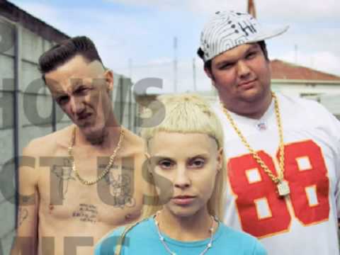Beat Boy - Dieantwoord (High Quality Audio)