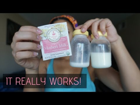 download lagu mp3 mp4 Best Lactation Tea, download lagu Best Lactation Tea gratis, unduh video klip Best Lactation Tea