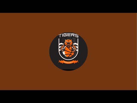 U15 Cdsc Chiguayante Tigers v/s Rayito de Sol Yumbel. !Junio 3025. Liga Bio Bio