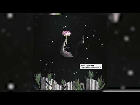 макс  пташник - поки ніхто не бачить (official audio)