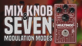 Video thumbnail for The Swiss Army Knife of Modulation - Caline Multimod on Bass by AMP