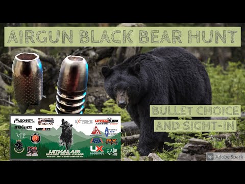 Airgun bear hunt bullet selection and sight-in. Airforce Texan .457 AAO w/carbon bottle lss ss .50