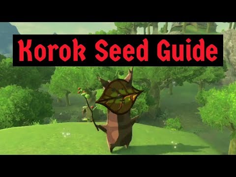 Korok Seed Guide with The Zelda Lady