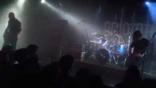 Esben and the Witch - No Dog Live @ Dürer Kert, Budapest 2014