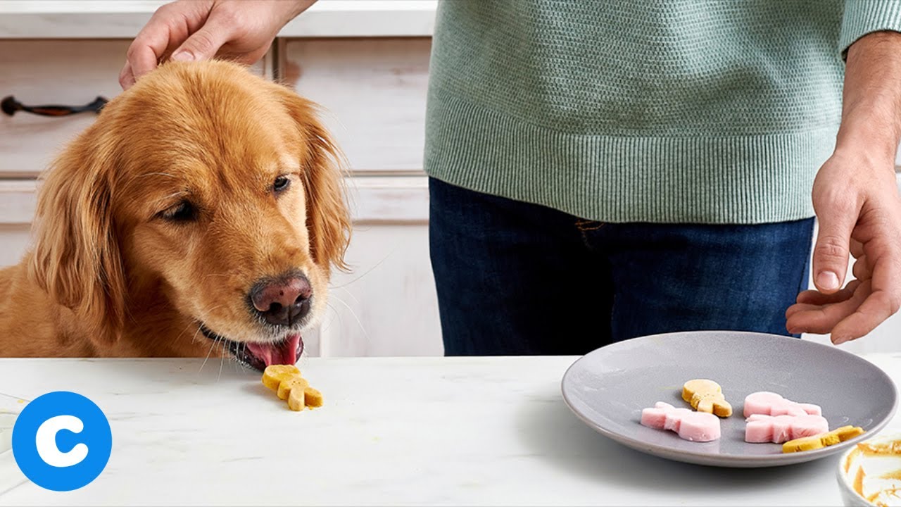 DIY Dog Treat Classic Easter Bunny Treats for Dogs BeChewy