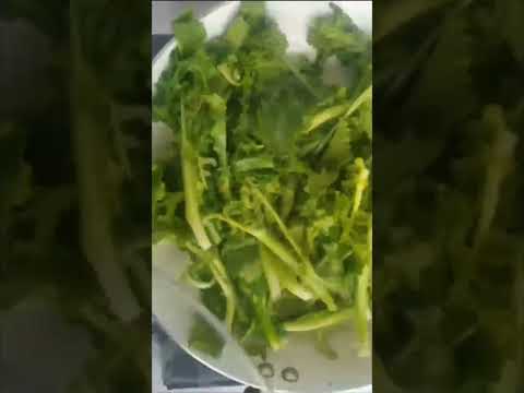 THE BEST SAUT&Eacute;ED GARLIC RAPINI RECIPE 🤌 #italianfood #sidedish #recipeshorts #shortsvideo #shorts