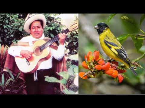 ROMANCERO DEL MARAÑÓN  - HUACRACHUCO
