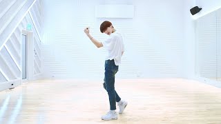 [LIM JIMIN - Loveholic] dance practice mirrored