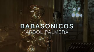 Arbol Palmera Lyrics English Translation