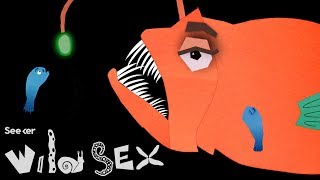 These Anglerfish Are Sexual Parasites That Die Without Their Lovers