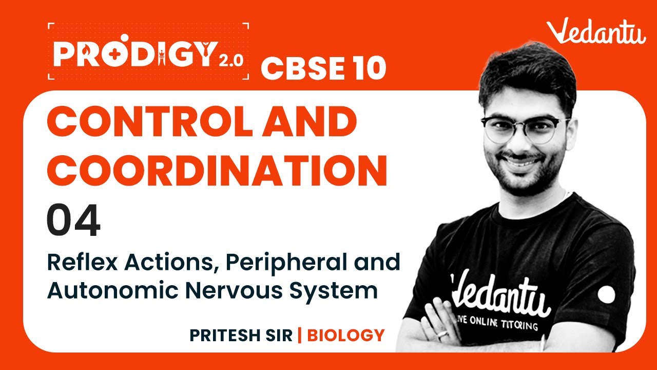 Control and Coordination - 4 | Reflex Actions, Peripheral  and Autonomic Nervous System