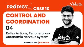 Control and Coordination - 4 | Reflex Actions, Peripheral  and Autonomic Nervous System